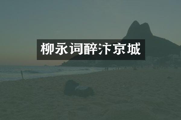 柳永词醉汴京城