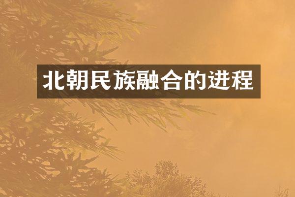 北朝民族融合的进程