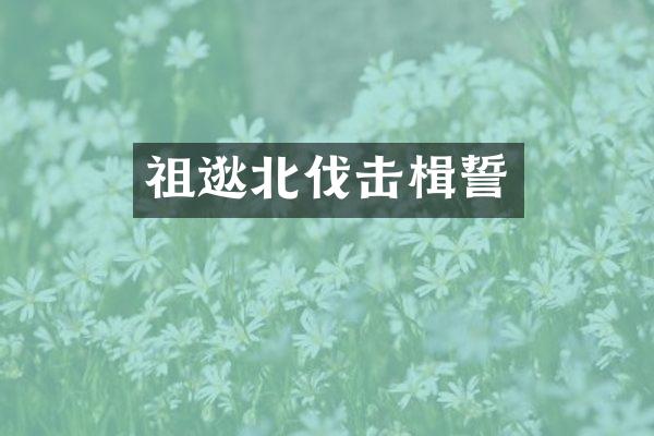 祖逖北伐击楫誓