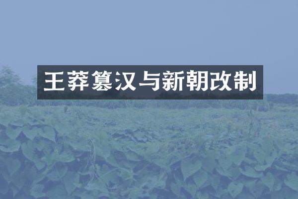 王莽篡汉与新朝改制