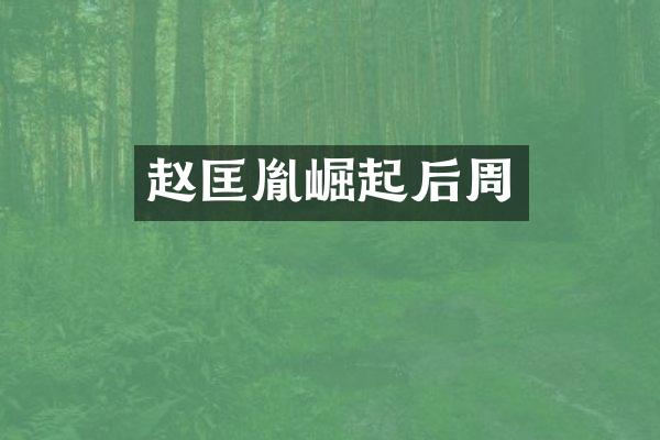 赵匡胤崛起后周