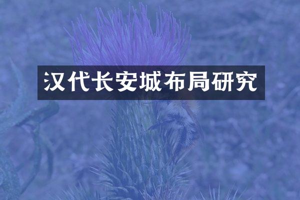 汉代长安城布局研究