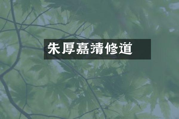 朱厚熜嘉靖修道
