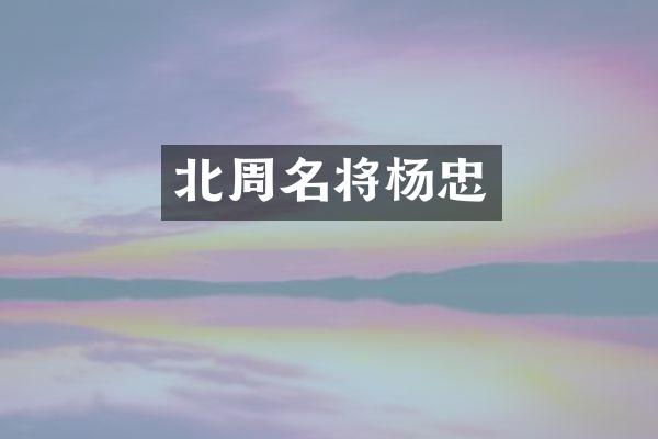 北周名将杨忠