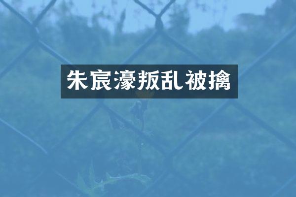 朱宸濠叛乱被擒