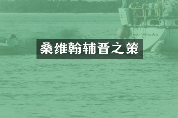 桑维翰辅晋之策