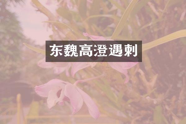 东魏高澄遇刺