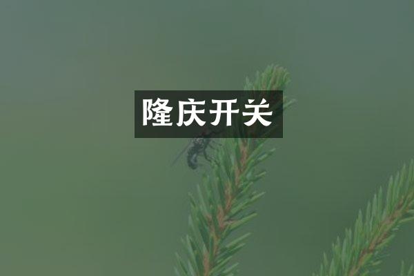 隆庆开关