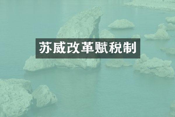 苏威改革赋税制