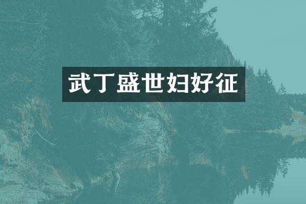 武丁盛世妇好征