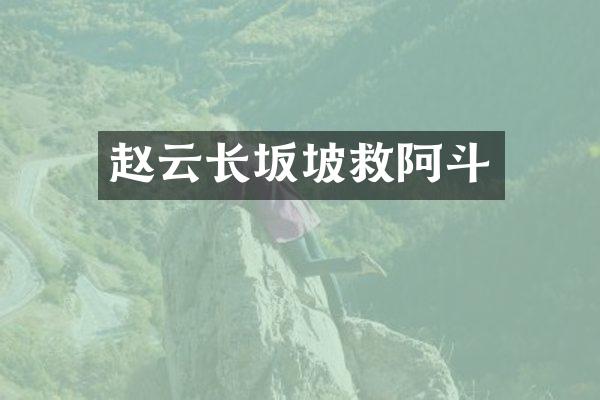 赵云长坂坡救阿斗