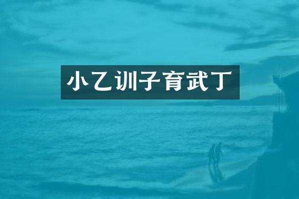 小乙训子育武丁
