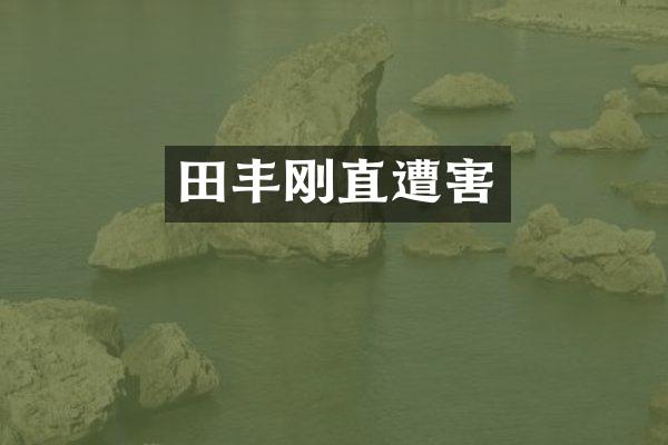田丰刚直遭害