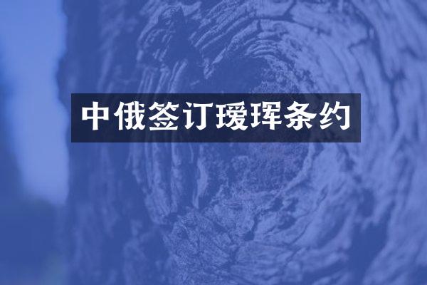 中俄签订瑷珲条约