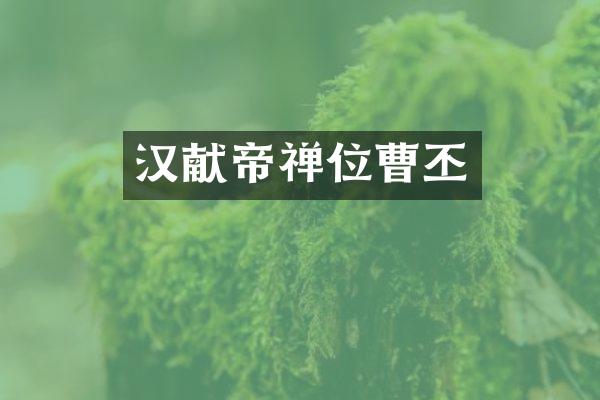 汉献帝禅位曹丕
