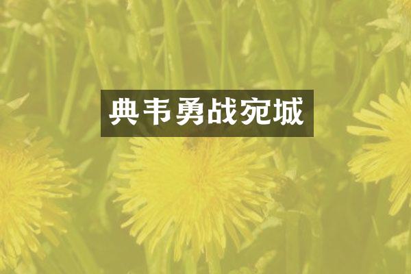 典韦勇战宛城