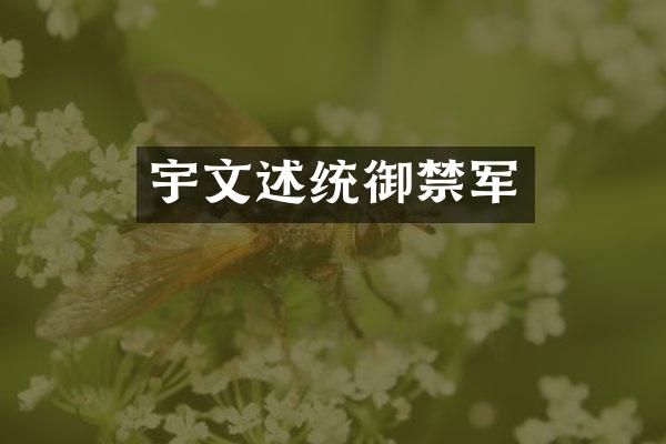宇文述统御禁军