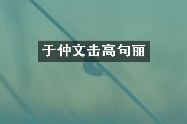 于仲文击高句丽