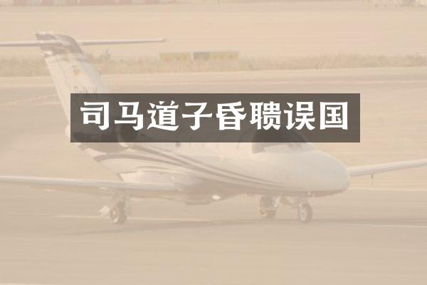 司马道子昏聩误国