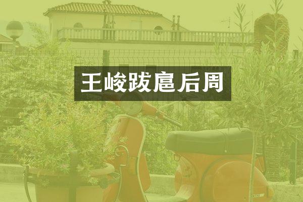 王峻跋扈后周