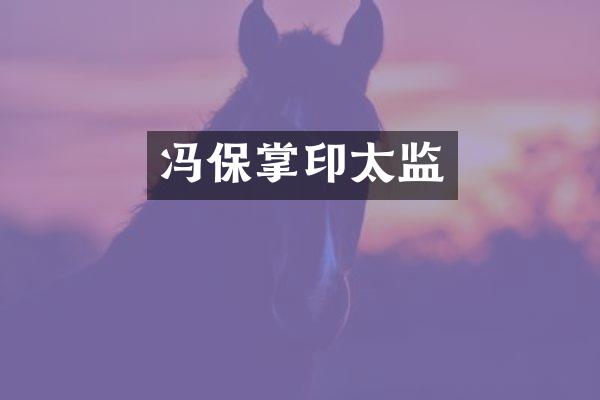 冯保掌印太监