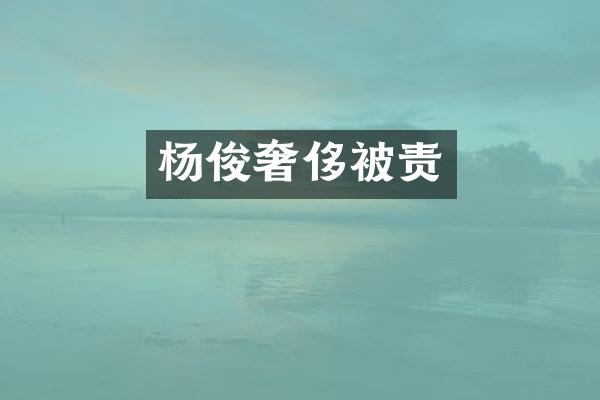 杨俊奢侈被责