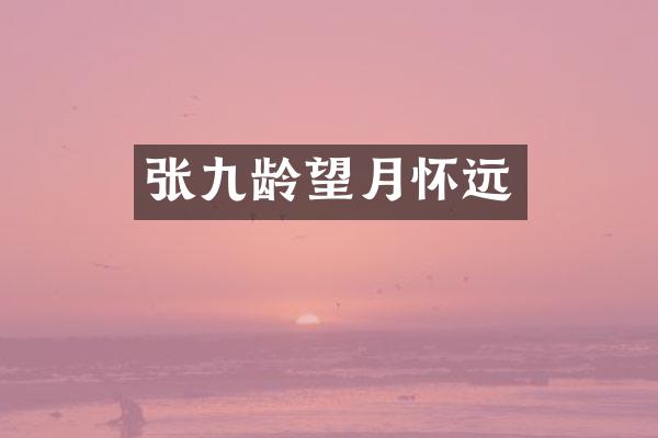 张九龄望月怀远