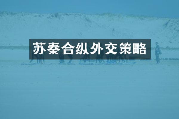 苏秦合纵外交策略