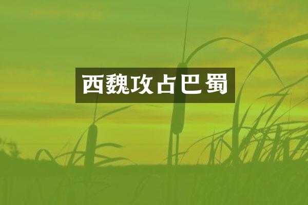 西魏攻占巴蜀