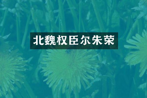 北魏权臣尔朱荣