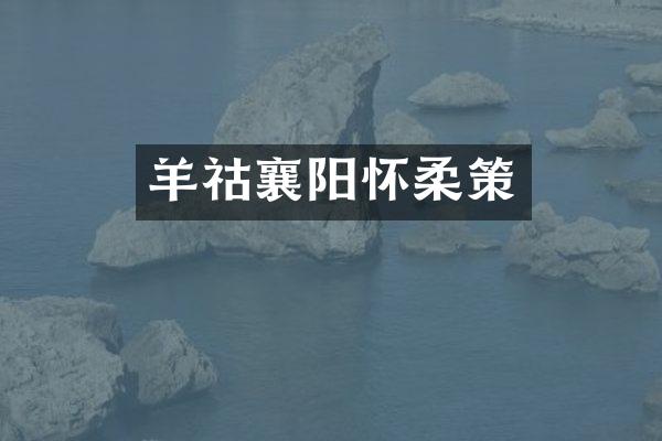 羊祜襄阳怀柔策