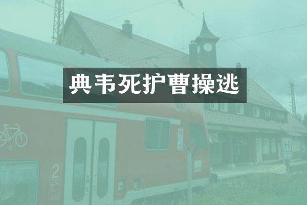 典韦死护曹操逃