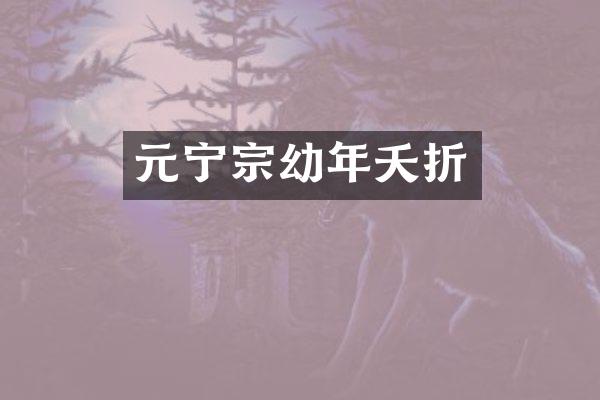 元宁宗幼年夭折