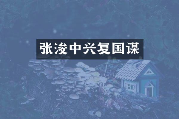 张浚中兴复国谋