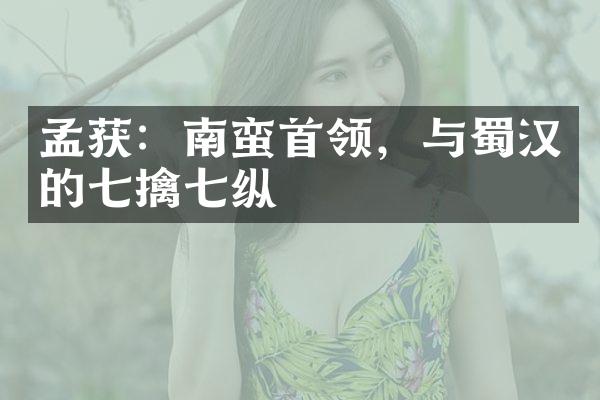 孟获：南蛮首领，与蜀汉的七擒七纵