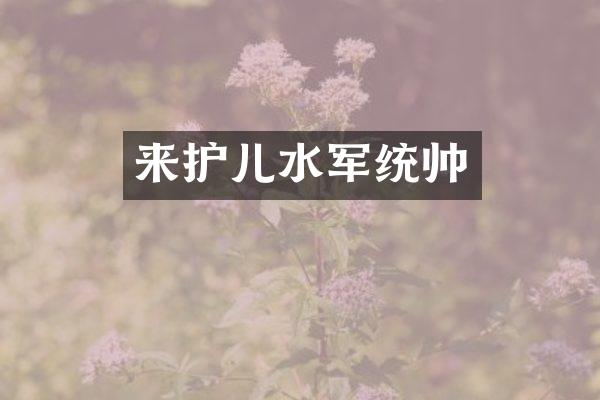 来护儿统帅