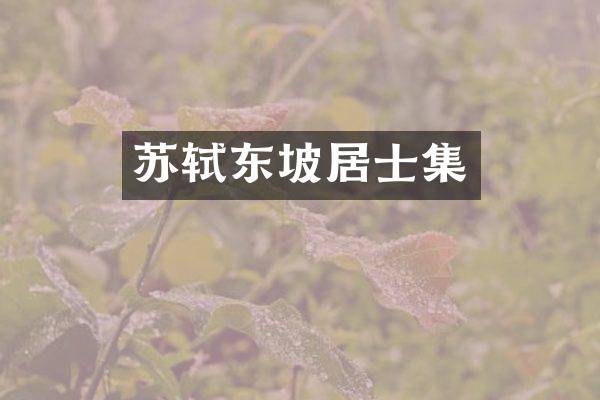 苏轼东坡居士集