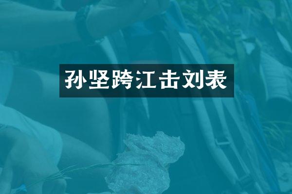 孙坚跨江击刘表