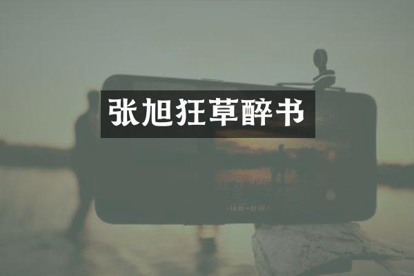 张旭狂草醉书