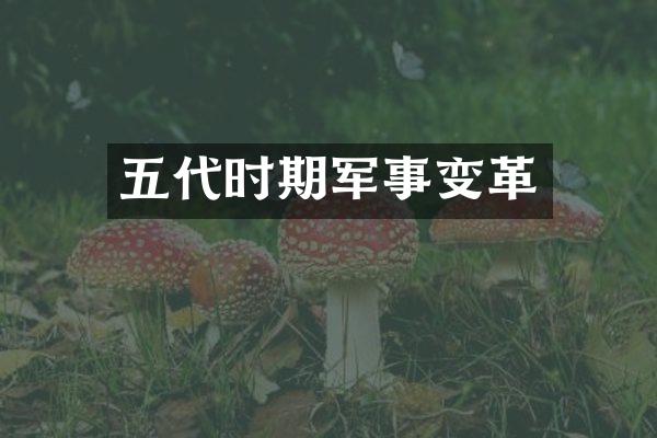 五代时期军事变革