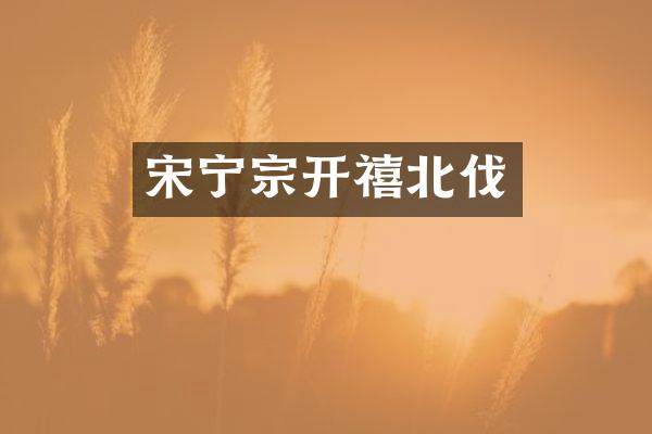 宋宁宗开禧北伐