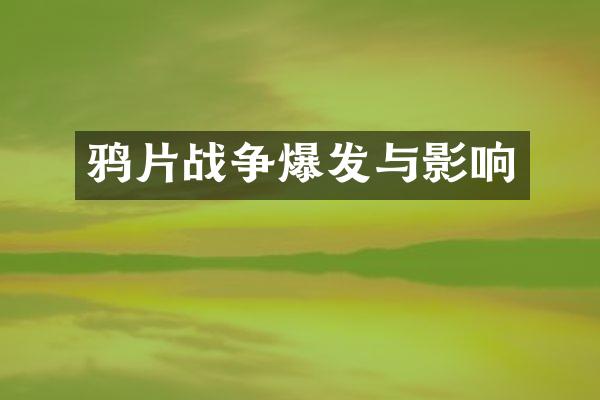 战争爆发与影响