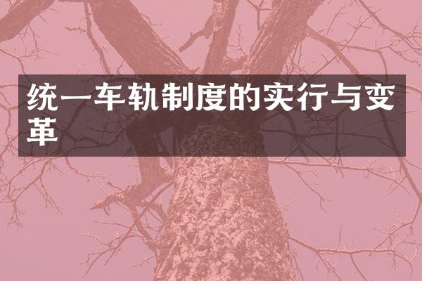 统一车轨制度的实行与变革