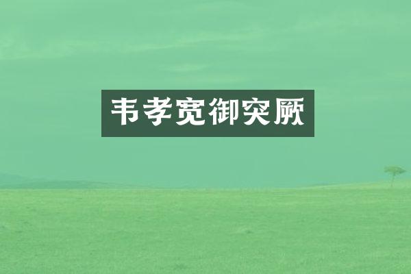 韦孝宽御突厥