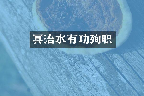 冥治水有功殉职