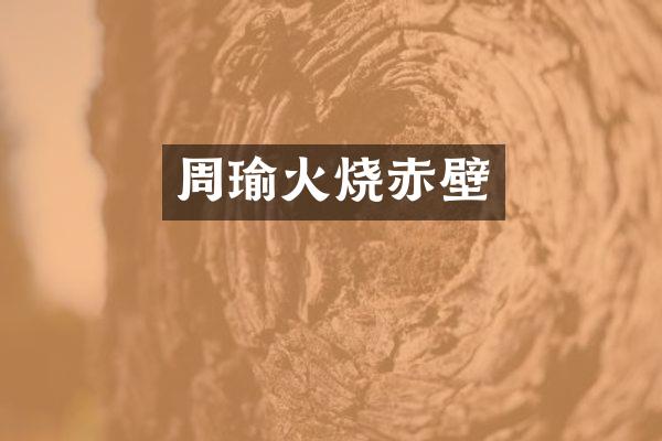 周瑜火烧赤壁