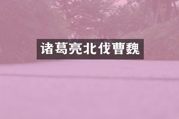 诸葛亮北伐曹魏