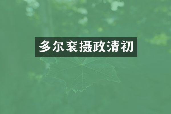 多尔衮摄政清初