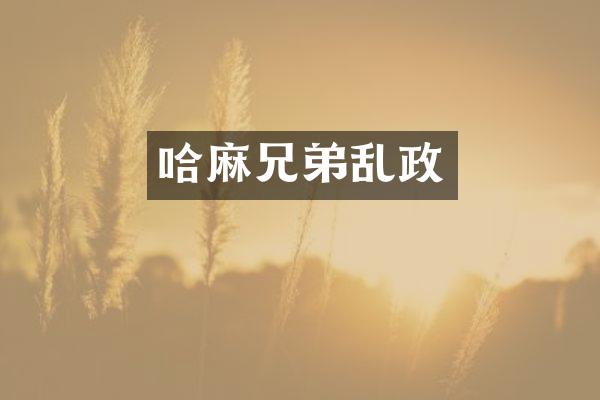 哈麻兄弟乱政