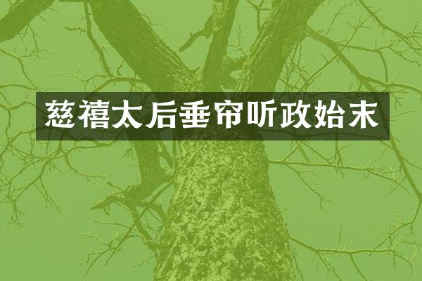 慈禧太后垂帘听政始末